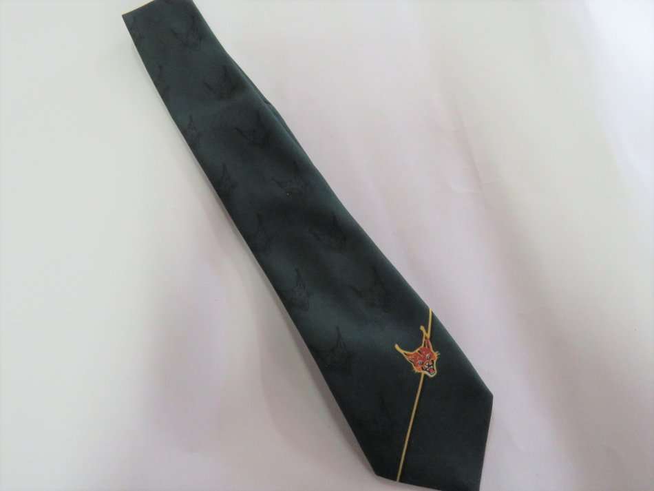 SADF 7 SAI Commemorative tie - 150cm