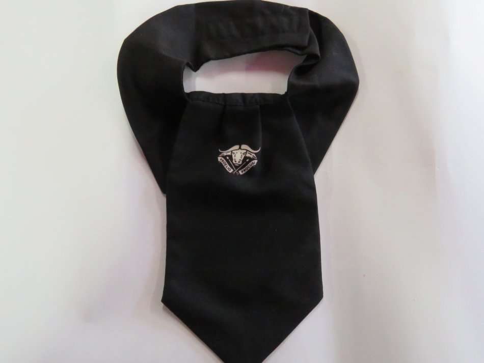 SADF 32 Battalion cravat