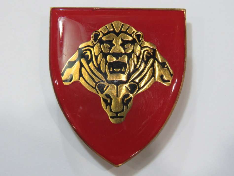 SADF Pride of the Lion shoulder flash