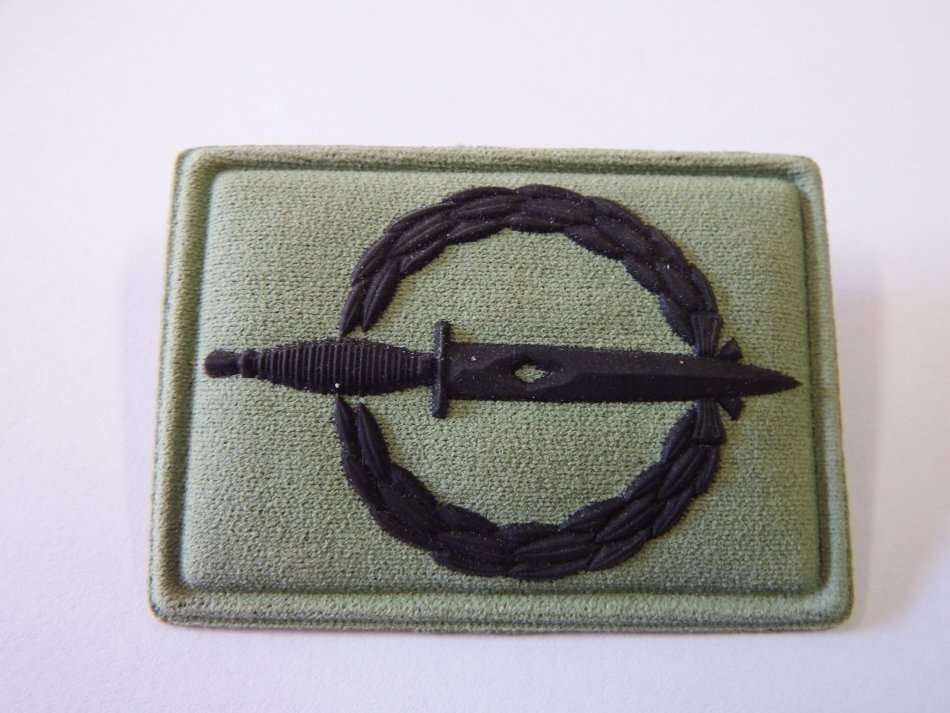 SANDF Special Forces Operator badge