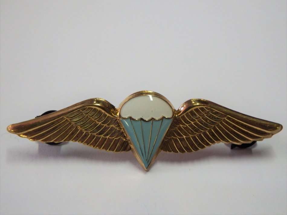 SA Parachute basic paratrooper wing