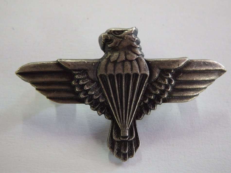 SA Army 44 Parachute regiment beret badge