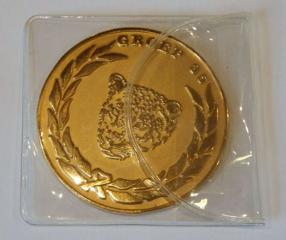 SA Army Group 35 Bloemfontein medallion