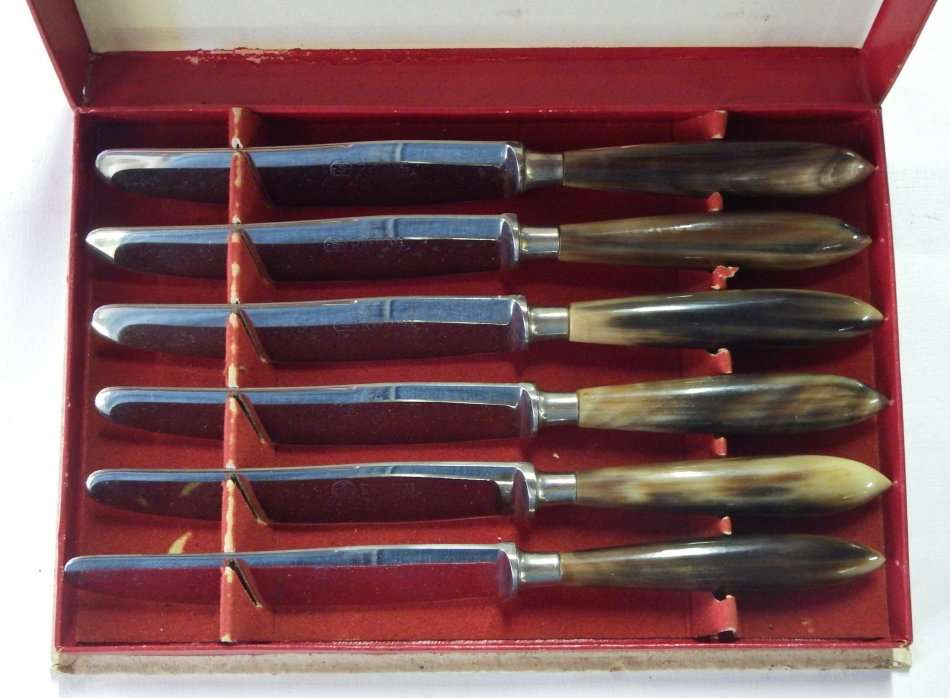 Set of 6 table knives in box with bone-like handles - Vintage - In excellent condition