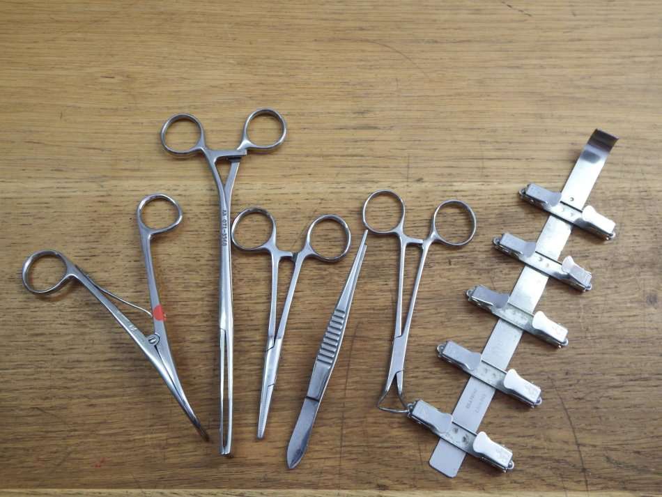 Lot of 6 dentist tools
