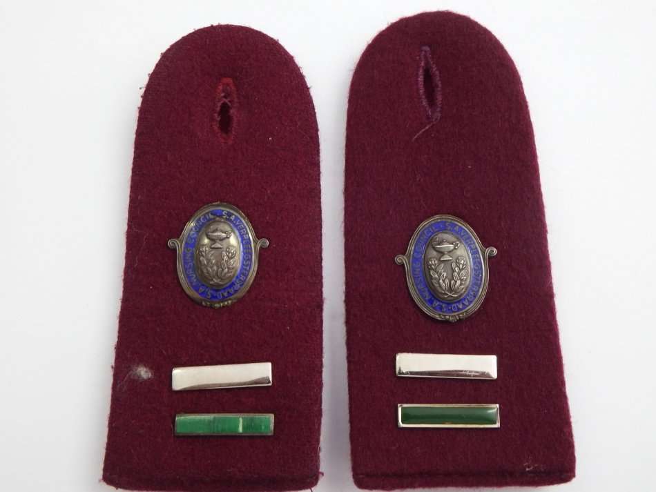 Pair of SA Nursing counsel nurse epaulettes