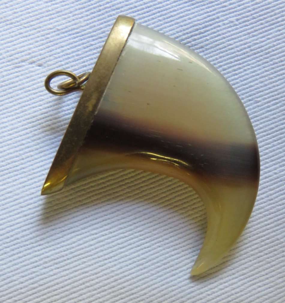 Antique Lion's claw pendant