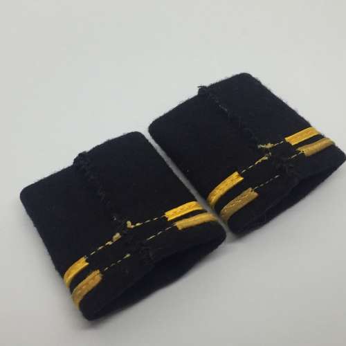 Pair of Swiss army engineers rank badges