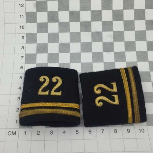 Pair of Swiss army engineers rank badges