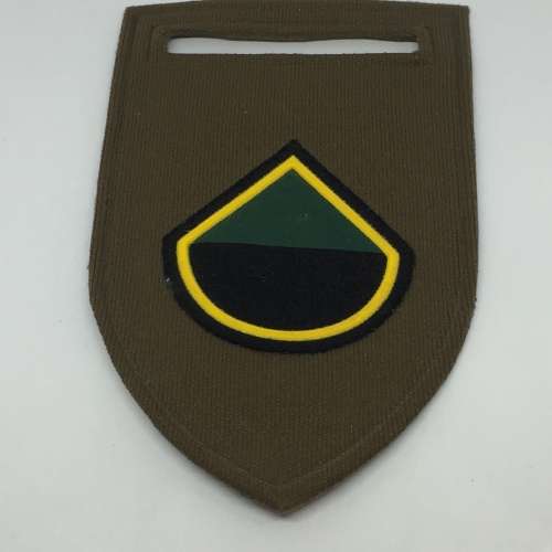 SADF Infantry D-Company tupperware flash