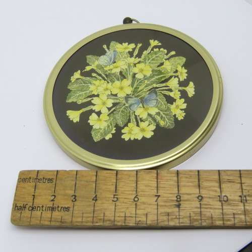 Capesa holly blue butterfly on primrose by Julia Morland plus Green veined white butterfly