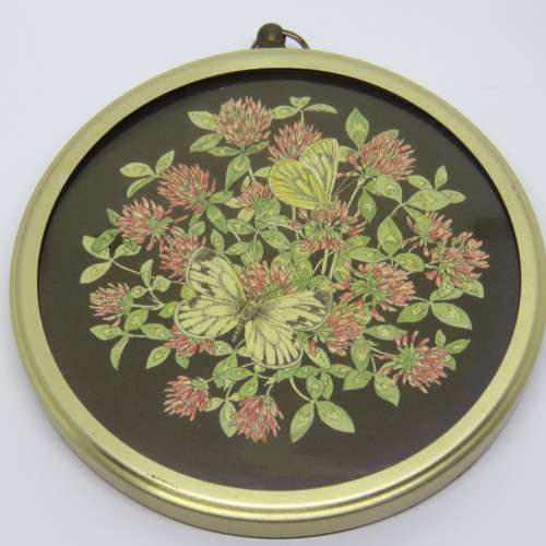 Capesa holly blue butterfly on primrose by Julia Morland plus Green veined white butterfly