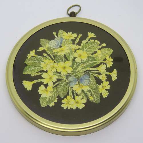 Capesa holly blue butterfly on primrose by Julia Morland plus Green veined white butterfly