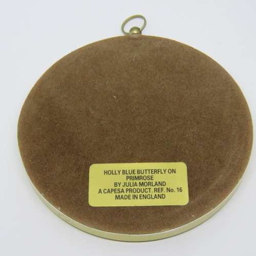 Capesa holly blue butterfly on primrose by Julia Morland plus Green veined white butterfly