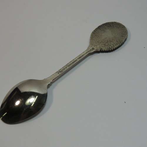 Queen Elizabeth 2 spoon