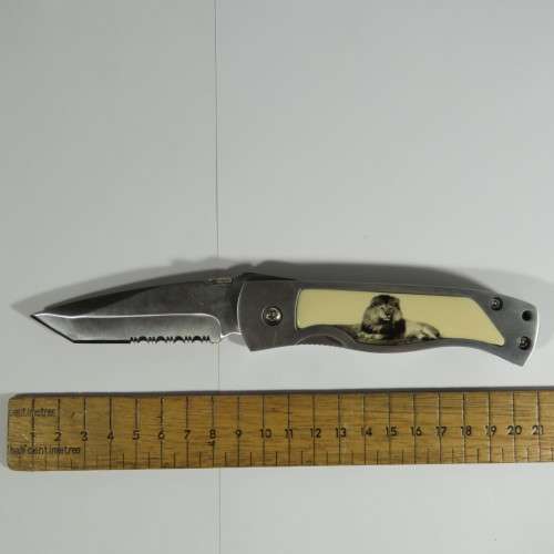 Lion pocket knife in presentation box