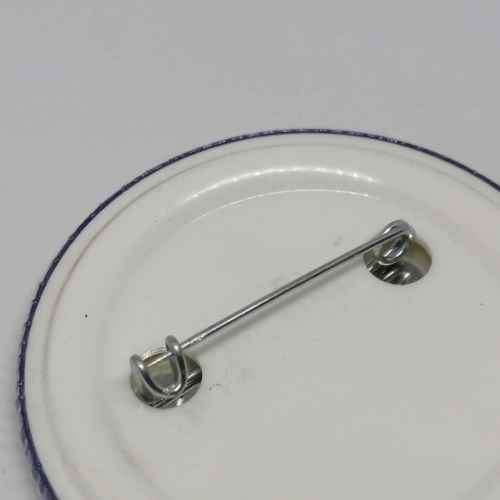 New National Party Western Cape election campaign lapel badge