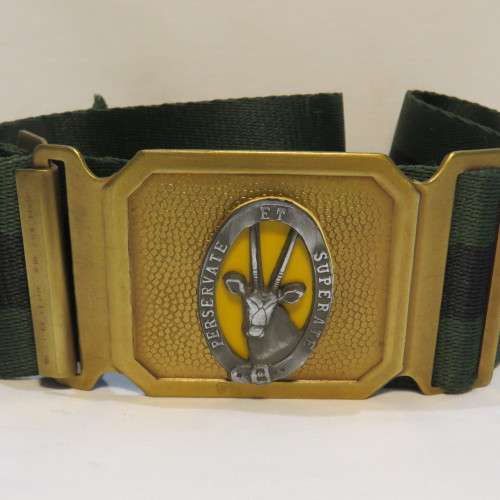 8 SAI stable belt plus buckle - 120 cm