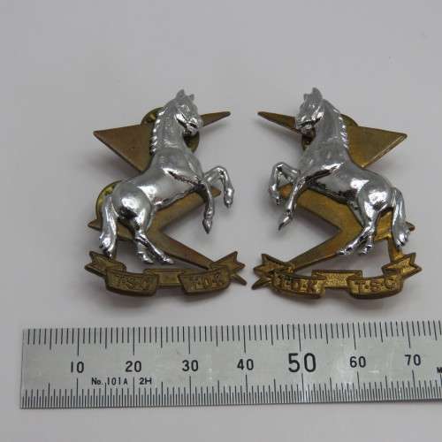 Pair of SA Technical Services collar badges