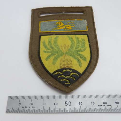 SADF 4 SA Infantry tupperware flash with Eastern Transvaal command bar - Well used