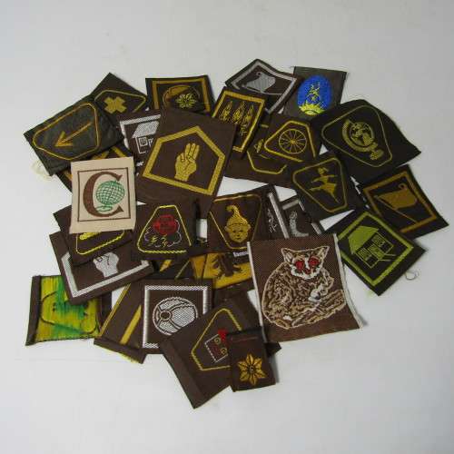 Large Lot of vintage Girl Guides Brownies badges