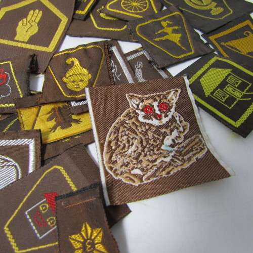 Large Lot of vintage Girl Guides Brownies badges