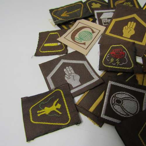 Large Lot of vintage Girl Guides Brownies badges