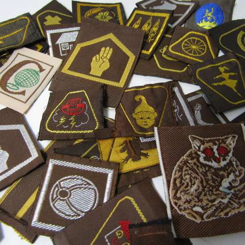 Large Lot of vintage Girl Guides Brownies badges