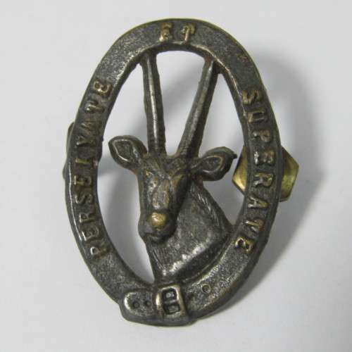 SADF 8 SAI cap badge