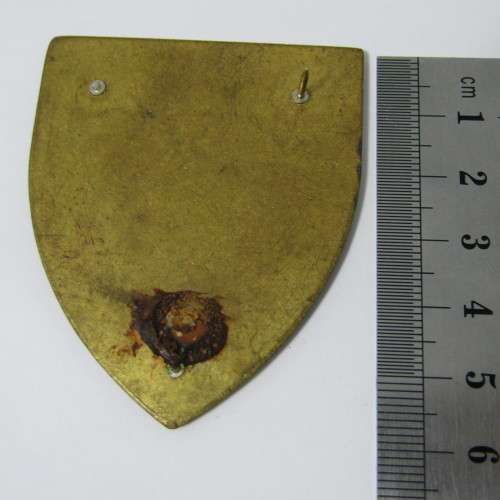 SADF 2 Field Engineer Regiment flash - 1 pin