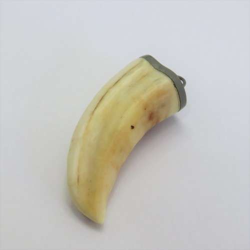 Vintage Lion`s tooth pendant