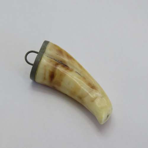 Vintage Lion`s tooth pendant