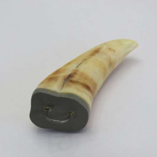 Vintage Lion`s tooth pendant