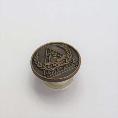 SA Air Force 75 Years pin badge