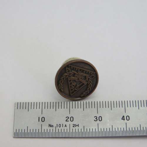 SA Air Force 75 Years pin badge