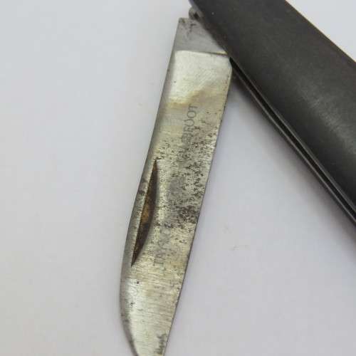 Taylor`s Eye Witness Lambfoot folding pocket knife