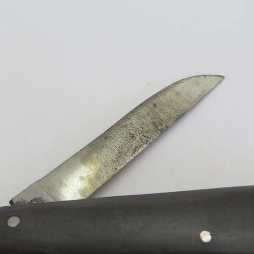 Taylor`s Eye Witness Lambfoot folding pocket knife