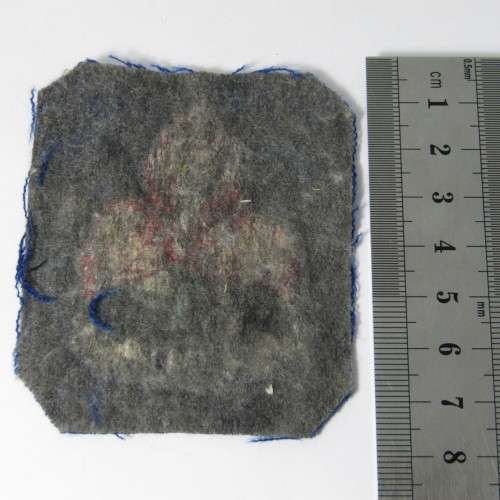 Vintage WP Rugby cloth badge