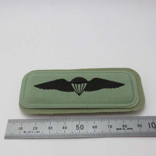 SANDF Basic paratrooper wing
