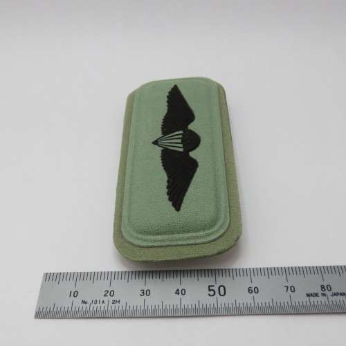 SANDF Basic paratrooper wing