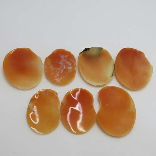 Lot of 7 Cameos for jewellery - Damaged