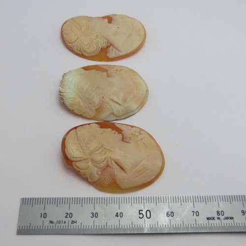 Lot of 7 Cameos for jewellery - Damaged