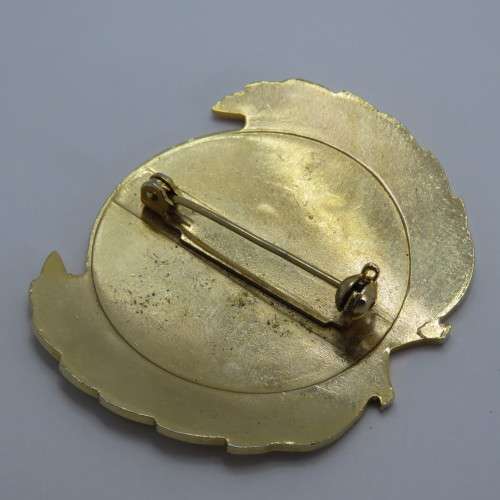 United Nations cap badge