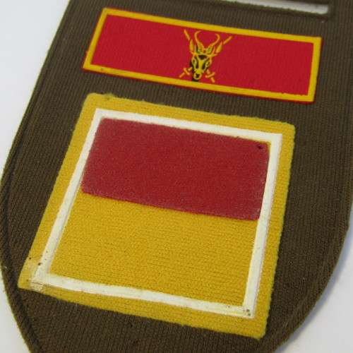 SADF Womens college Bravo company tupperware flash - no pin