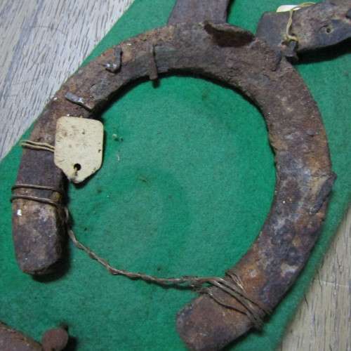 Board with antique horseshoes, some for oxen and ponies originating from South West Africa