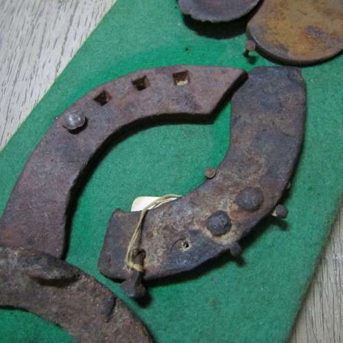 Board with antique horseshoes, some for oxen and ponies originating from South West Africa