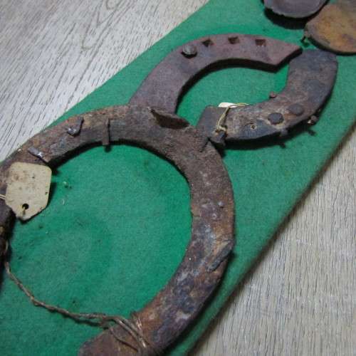 Board with antique horseshoes, some for oxen and ponies originating from South West Africa