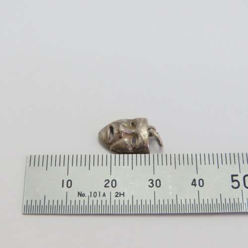 Silver charm face mask