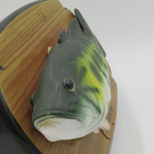 Big Mouth Rainbow Trout singing novelty fish - Working