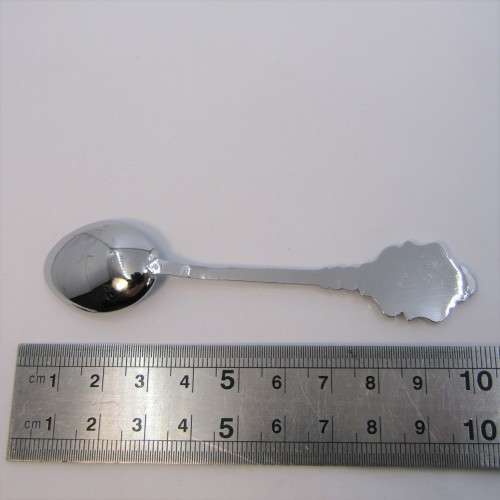 Spoon with SWA logo